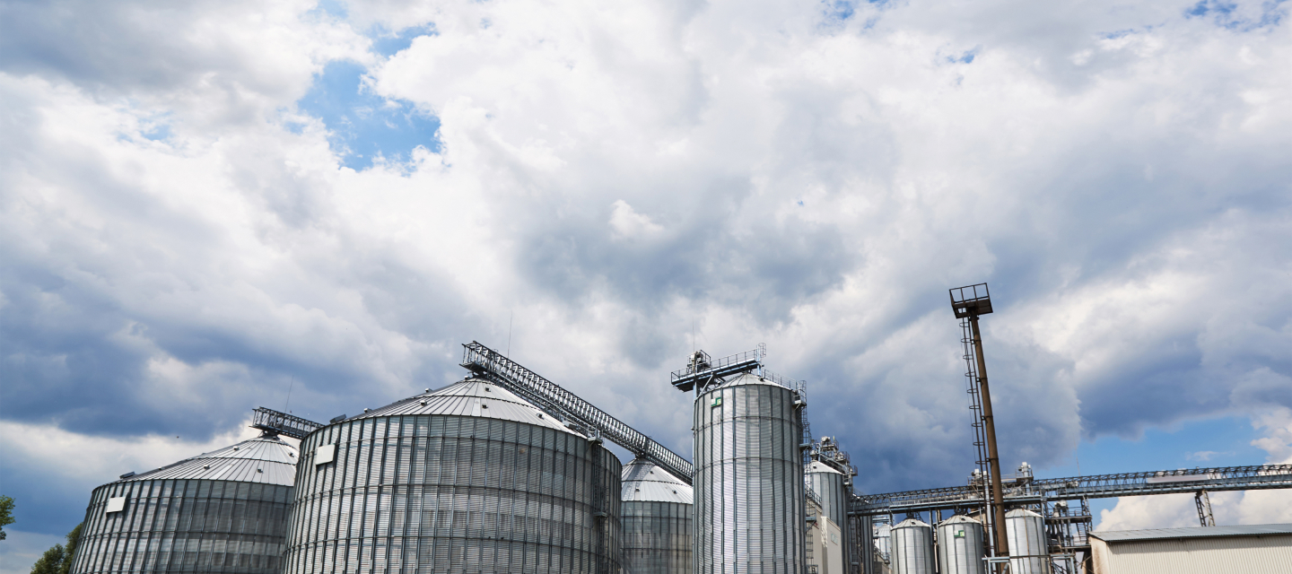 Топ-менеджери УПІ-АГРО розповіли виданню Latifundist, чого очікують від цукрового сезону 2024/25