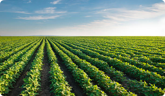 Окрема фінансова звітність ТОВ “ГРУПА АГРОПРОДІНВЕСТ”