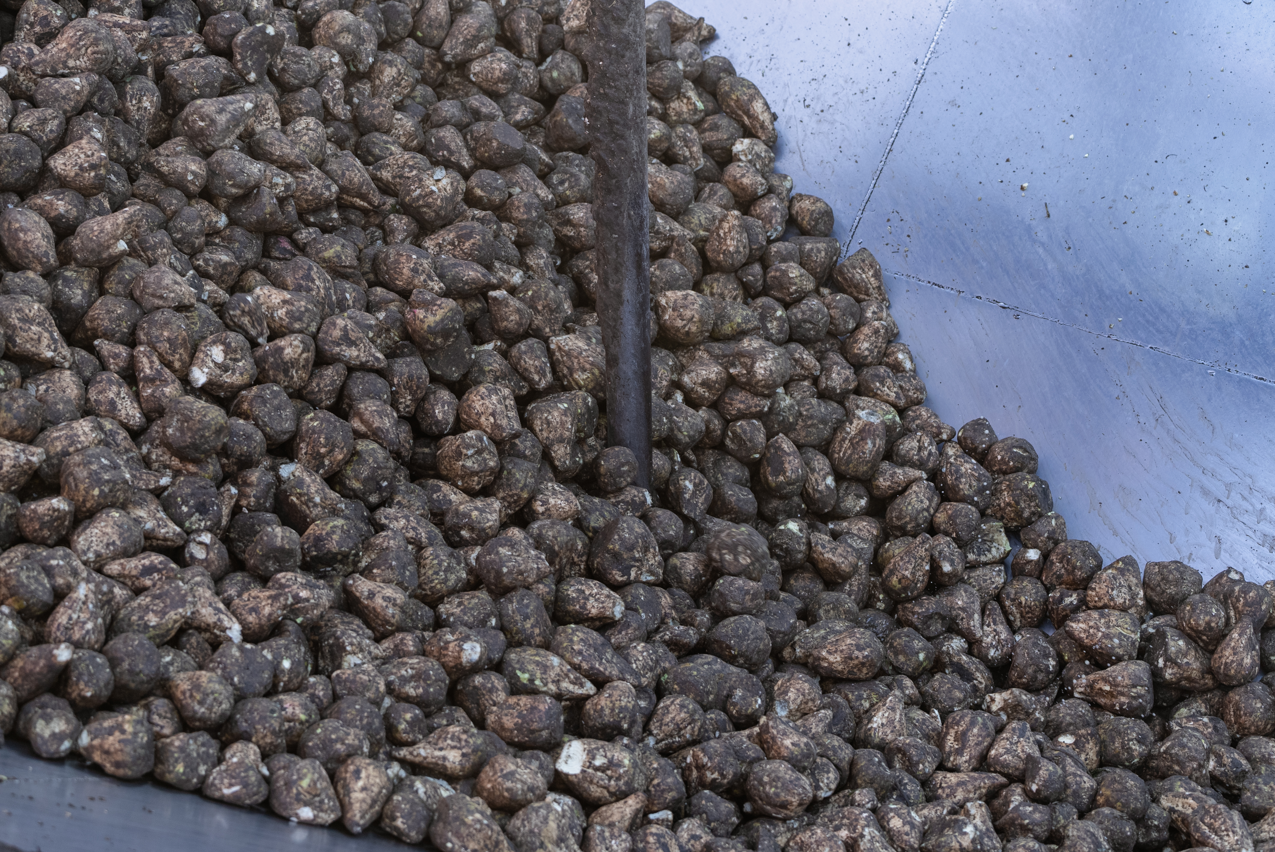 Партнерська програма