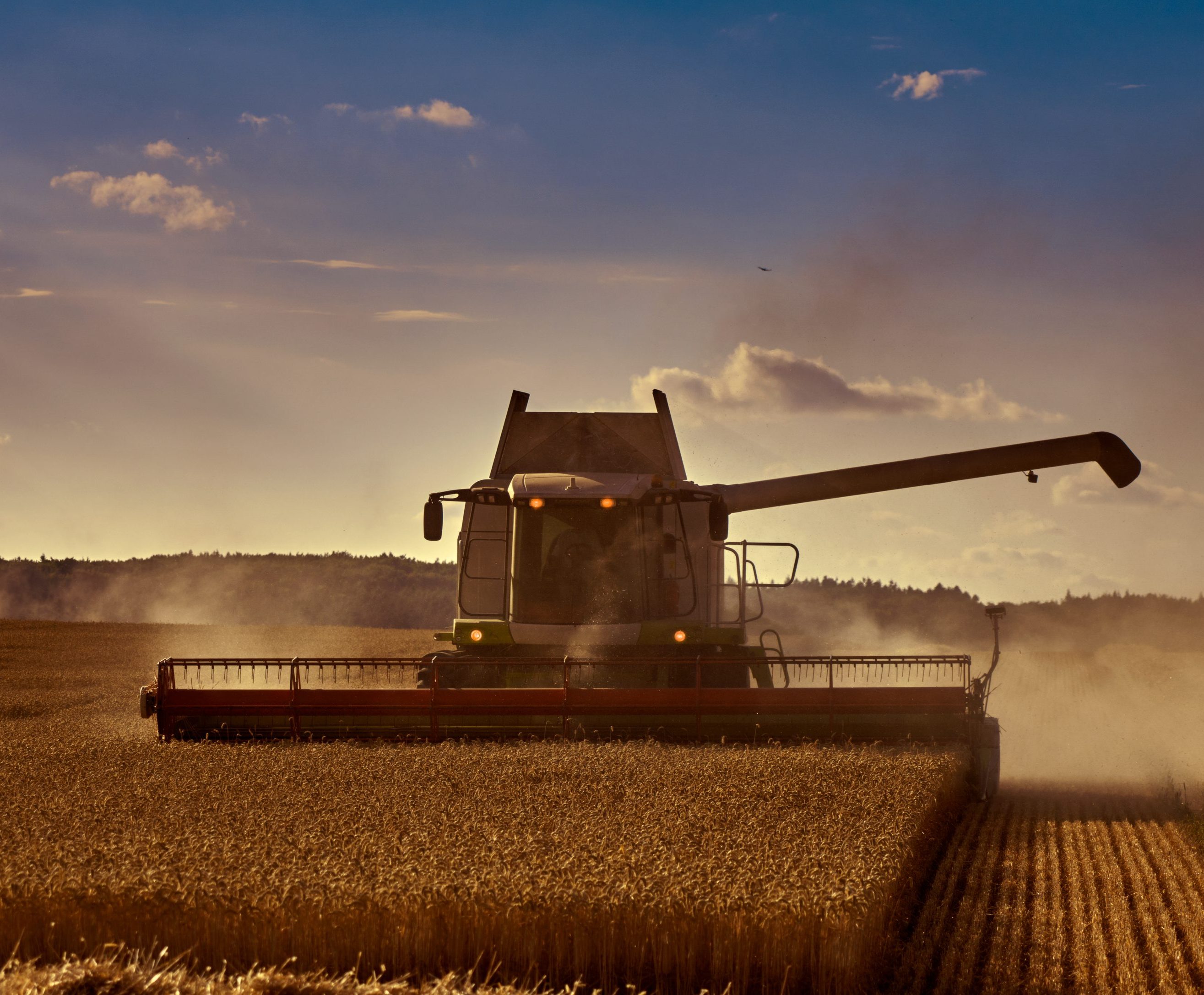 Рослинництво